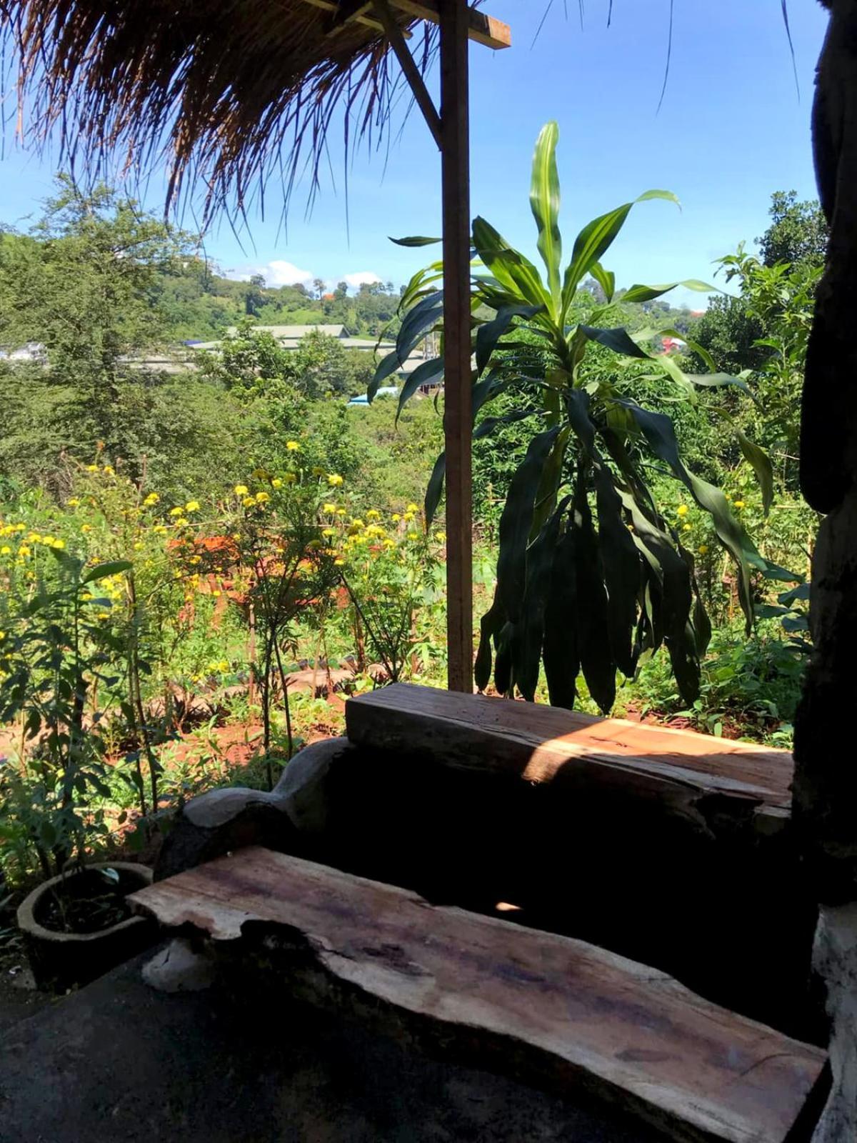 Backpacker Hostel And Jungle Trekking Banlung Eksteriør bilde